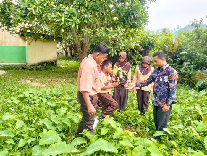 Peduli Lingkungan Sejak dini MTsN 7 Merangin Menanam Pohon Bersama Peserta  Didik Baru